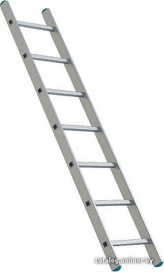 Лестница Sarayli односекционная промышленная 1x16