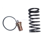 2701495 Ремкомплект клапана термостата VTFT45/55