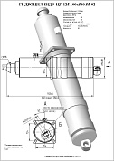 Гидроцилиндр ЦГ-125.100х580.55-02