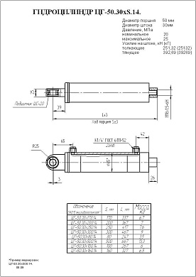 Гидроцилиндр ЦГ-50.30х300.14